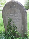 image of grave number 545604